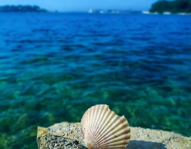 Appartement Marina Poreč